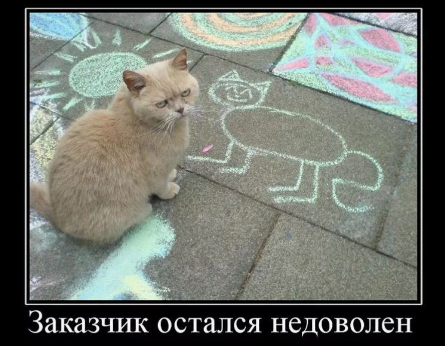 котик-заказчик недоволен